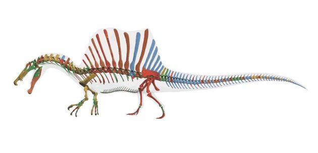 Ο πρώτος γνωστός αμφίβιος δεινόσαυρος
