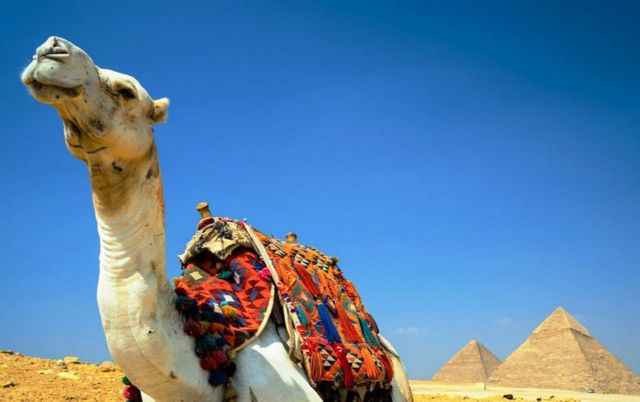 Εικονική περιήγηση στις Πυραμίδες της Αιγύπτου με το Google Street View