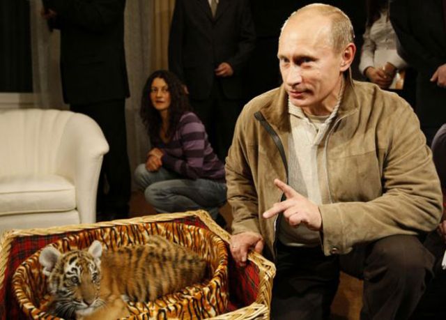 Πηγή έμπνευσης για μία ψηφιακή τίγρη ο Βλαντιμίρ Πούτιν