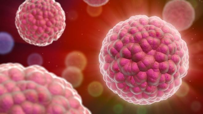 Everolimus: Βελτιωμένη επιβίωση των ασθενών με καρκίνο παγκρέατος