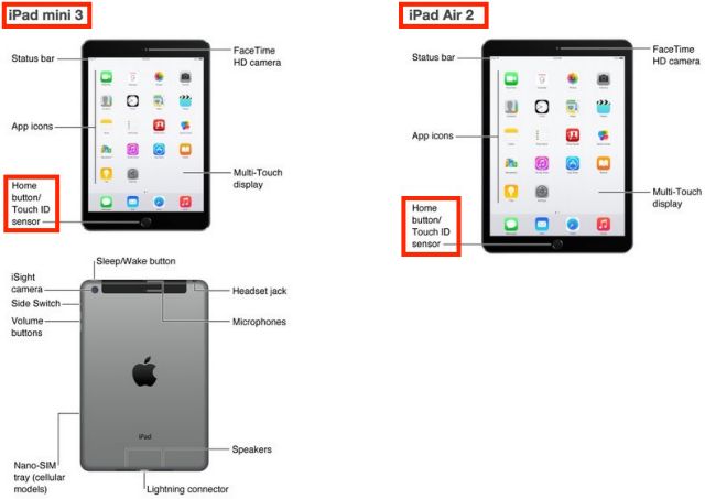 Η Apple έκανε «κατά λάθος» τα αποκαλυπτήρια του iPad Air 2 και iPad mini 3