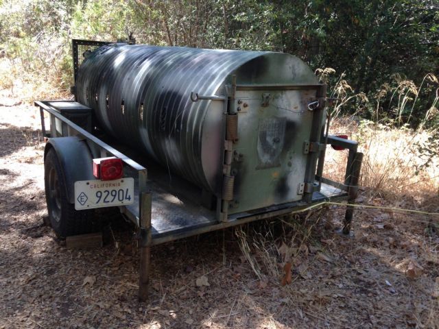 Καλιφόρνια: Αρκούδα τρεφόταν επί μέρες με το σώμα ενός νεκρού