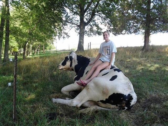 Η ψηλότερη αγελάδα στον κόσμο βόσκει σε φάρμα στις ΗΠΑ
