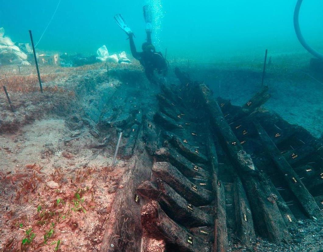 Φουντούκια άριστα διατηρημένα βρέθηκαν σε ναυάγιο του 16ου αιώνα στη Ζάκυνθο