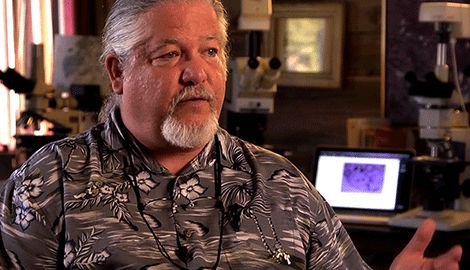 Αρνητής του Δαρβίνου μηνύει το πανεπιστήμιο που τον απέλυσε