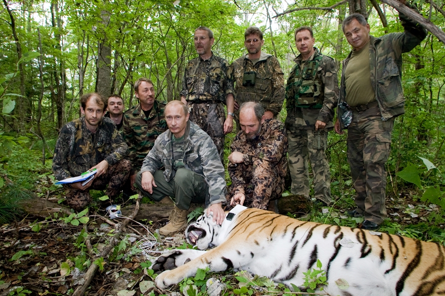 Οι τίγρεις του Πούτιν εξαπολύουν επιθέσεις στην Κίνα