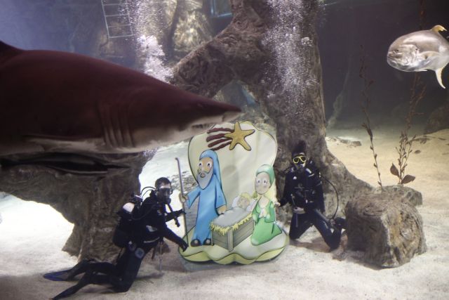 Χριστουγεννιάτικο σκηνικό σε… ενυδρεία