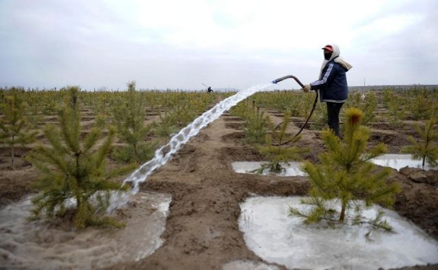 «Πράσινο Τείχος» δείχνει να προστατεύει την Κίνα από την ερημοποίηση