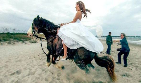 Τι γίνεται όταν ένα άλογο δεν θέλει να ποζάρει για γαμήλιο άλμπουμ;