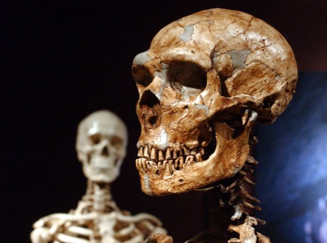 Γιατί ο ανθρώπινος σκελετός έχει γίνει εύθραυστος