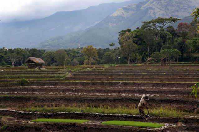 Παραγουάη: Αντάρτες απειλούν με εκτέλεση όσους καλλιεργούν μεταλλαγμένα