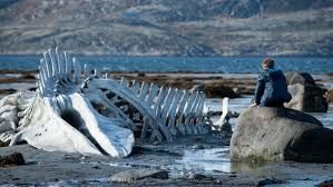 O «Λεβιάθαν» διχάζει τη Ρωσία