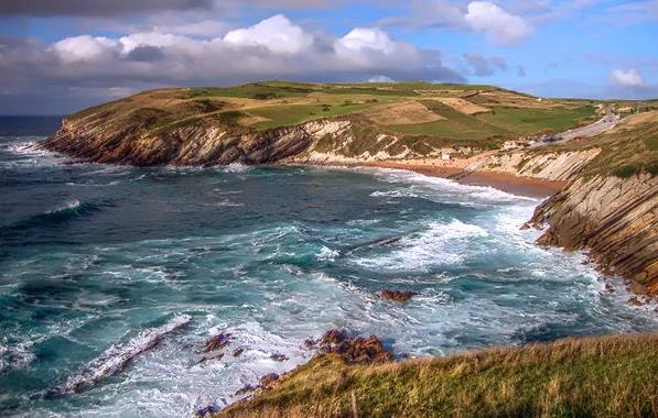 Δάσος που προϋπήρχε των δεινοσαύρων αναδύθηκε στην Ισπανία