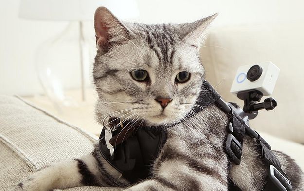 Η Xiaοmi επιχειρεί να κλέψει την δόξα της κάμερας δράσης GoPro