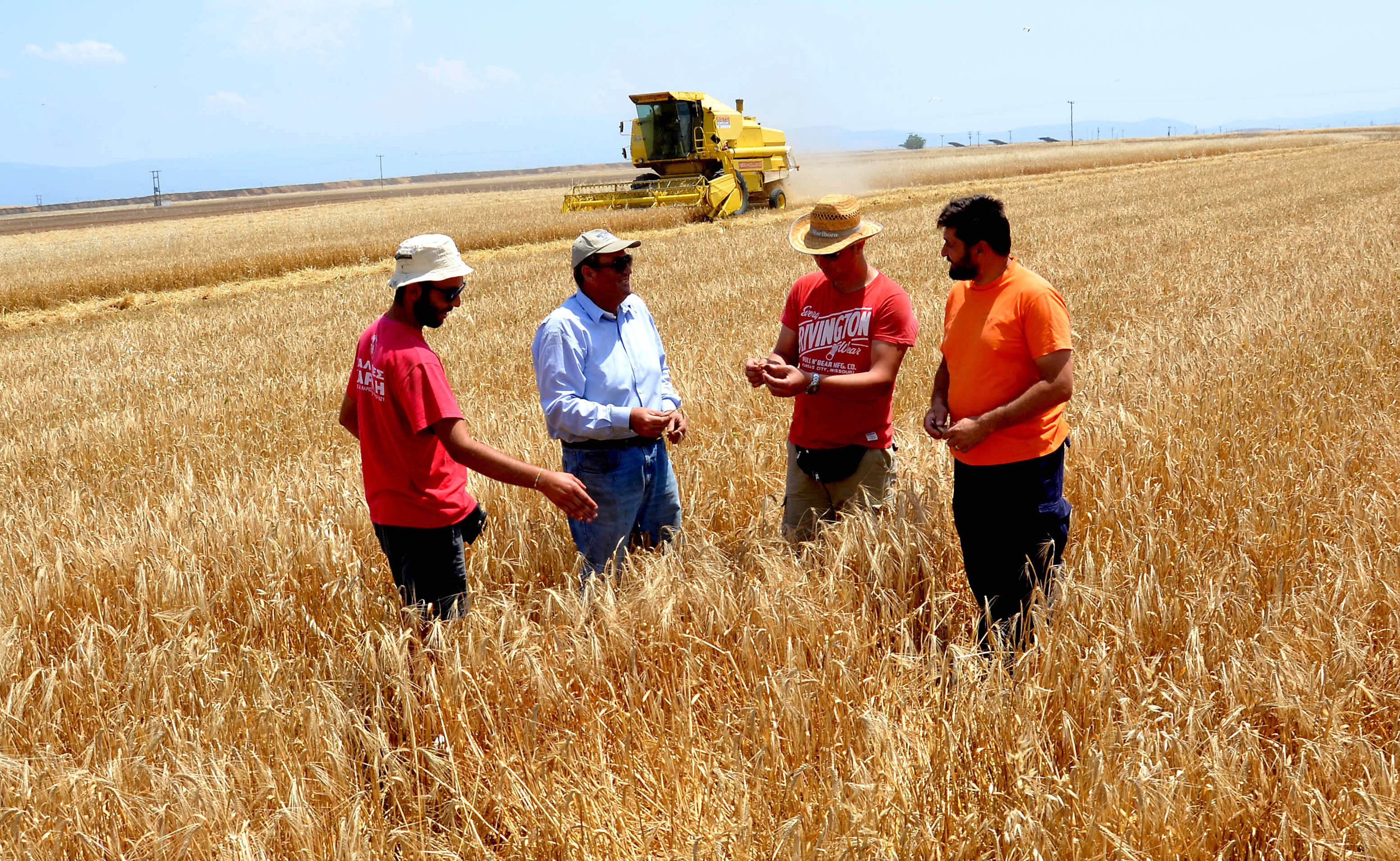 Ένεση ρευστότητας ύψους 380 εκατ. ευρώ στους αγρότες ώς το Μάιο