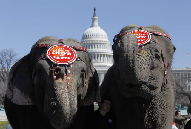 Το μεγαλύτερο τσίρκο των ΗΠΑ καταργεί τα νούμερα με ελέφαντες