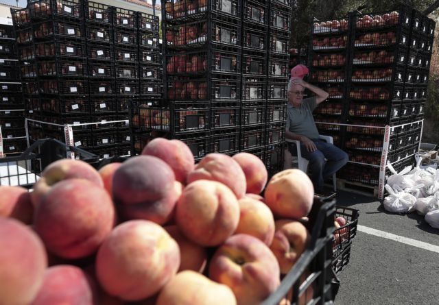 Μορφές χαλάρωσης του εμπάργκο εισαγωγών κατά της Ελλάδας εξετάζει η Ρωσία