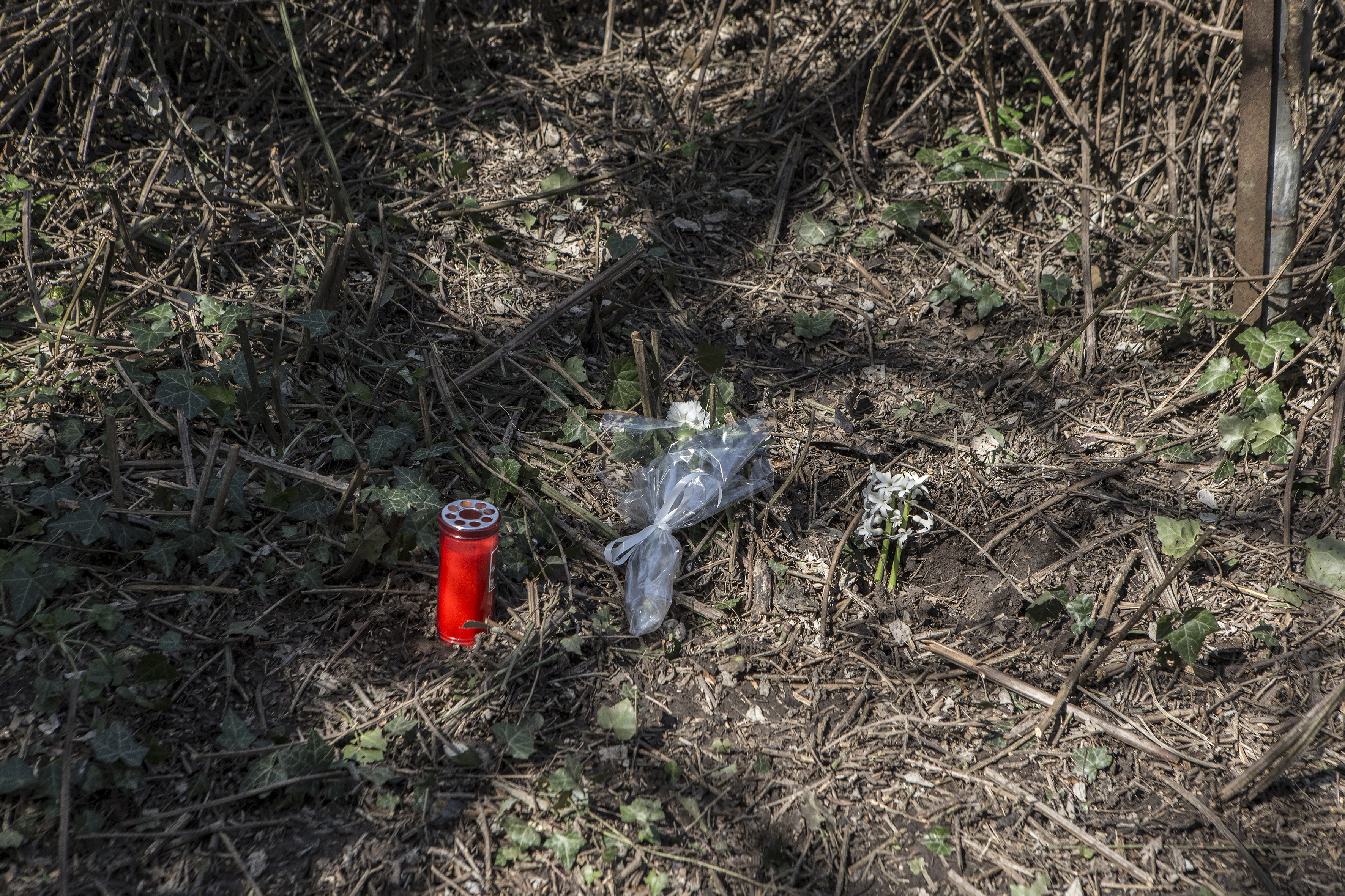 Ποινική δίωξη για τα υβριστικά σχόλια σε βάρος του Βαγγέλη Γιακουμάκη