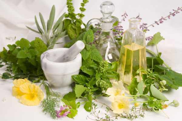 Τα «μυστικά» της καλλιέργειας των αρωματικών και φαρμακευτικών φυτών