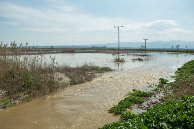 Εκατοντάδες ζώα απειλούνται από πλημμύρα σε κτηνοτροφείο των Σερρών
