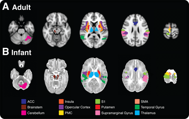 Τα βρέφη βιώνουν τον πόνο ακριβώς όπως και οι ενήλικοι