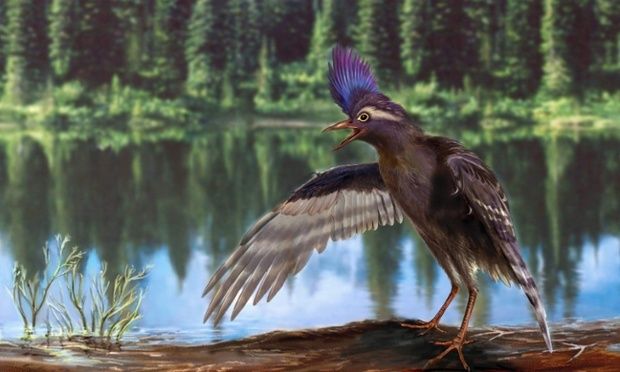 Φτερωτός δεινόσαυρος ίσως είναι ο αρχαιότερος πρόγονος των πτηνών