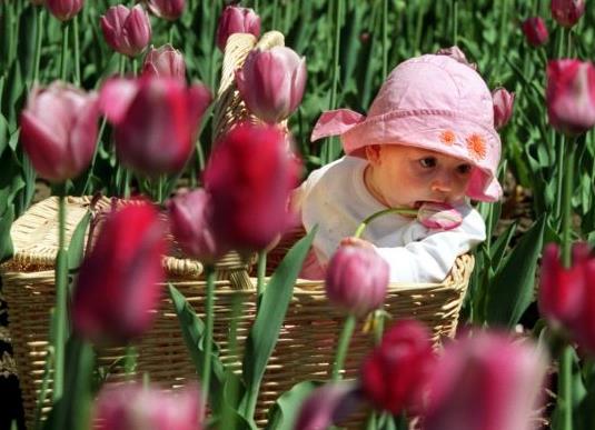 Φεστιβάλ για τη Γιορτή της Μητέρας από το imommy.gr