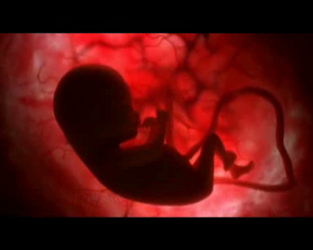 Η παρακεταμόλη επηρεάζει αρνητικά την ανάπτυξη των εμβρύων