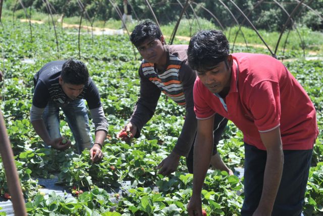 Μέτρα κατά της εκμετάλλευσης εργατών-μεταναστών ζητά οργανισμός της ΕΕ
