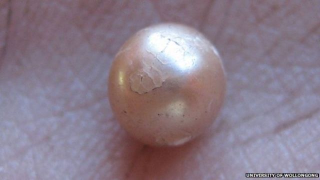 Αυστραλία: Ανακαλύφθηκε σπάνιο φυσικό μαργαριτάρι ηλικίας 2.000 ετών