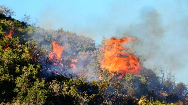 Πυρκαγιά μαίνεται σε δασική έκταση στη Χαλκιδική