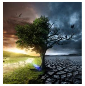 Ξεκίνησαν οι εργασίες του συνεδρίου «Τέλος της ζωής στον καρκίνο»