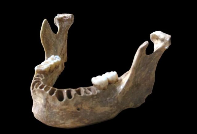 Οι Ευρωπαίοι δεν άργησαν να υποκύψουν στο σεξαπίλ των Νεάντερταλ