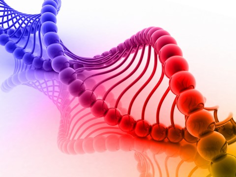 Η ποικιλομορφία του DNA «γεννά» ψηλότερους και εξυπνότερους ανθρώπους