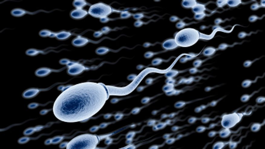 Γενετικό τεστ εντοπίζει εγκαίρως προβλήματα γονιμότητας στον άνδρα