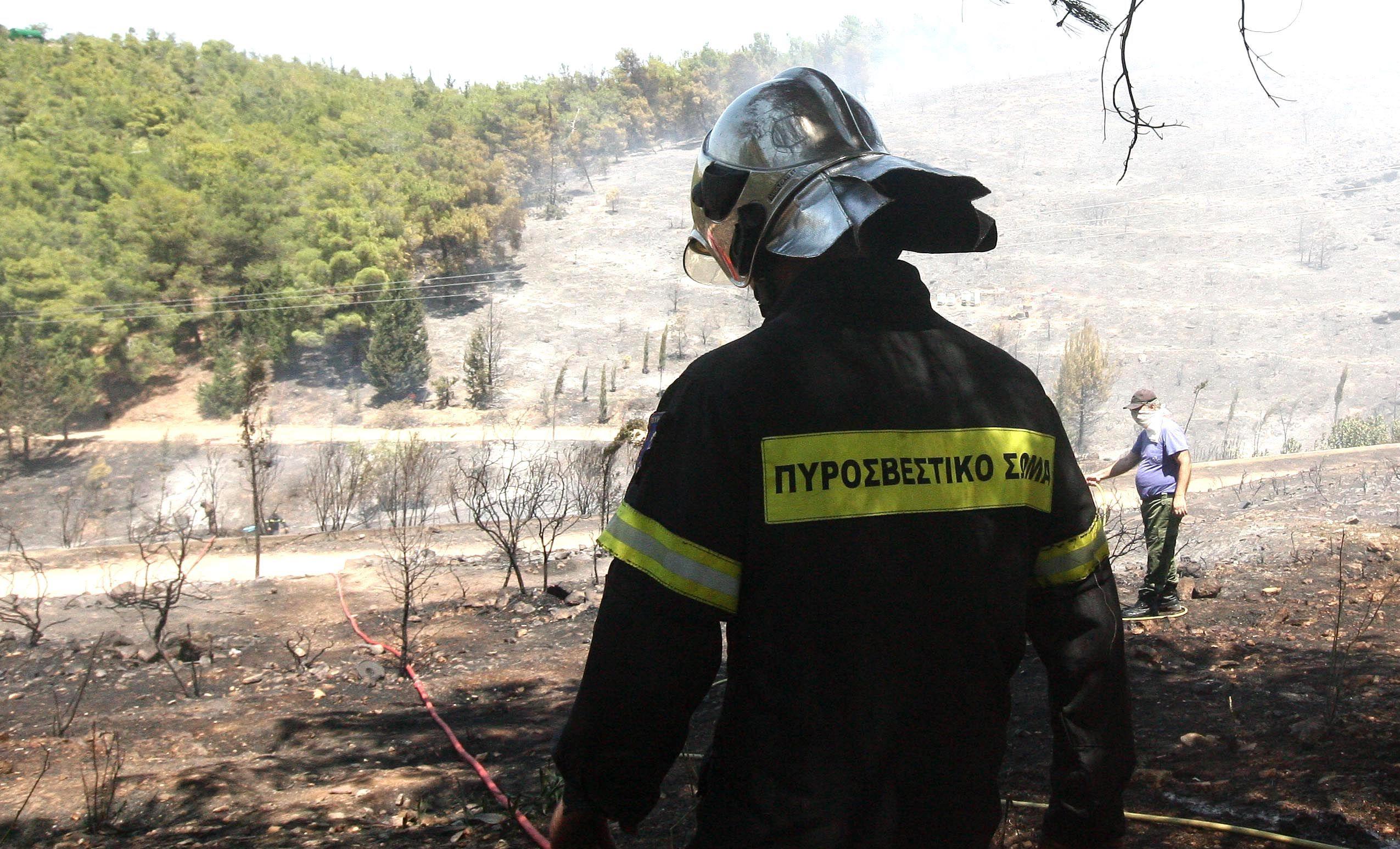 Πυροσβεστική: 52 πυρκαγιές από το πρωί σε ολόκληρη την Ελλάδα