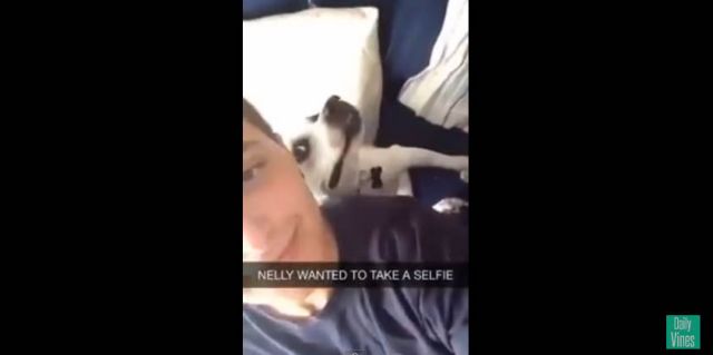 Όταν ο σκύλος σου θέλει οπωσδήποτε να «χωθεί» στη selfie