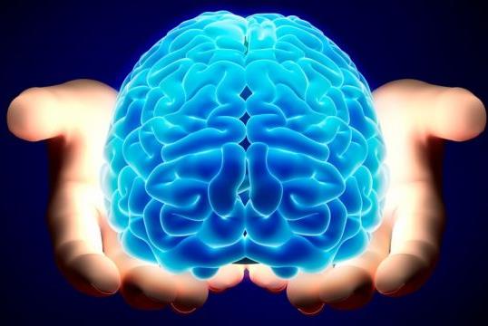 ΗΠΑ: Γεγονός ο πρώτος ανθρώπινος εγκέφαλος εργαστηρίου