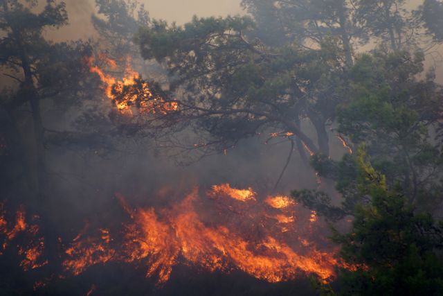 Μεγάλη πυρκαγιά σε δασική έκταση στην Αγία Μαρίνα Μυτιλήνης