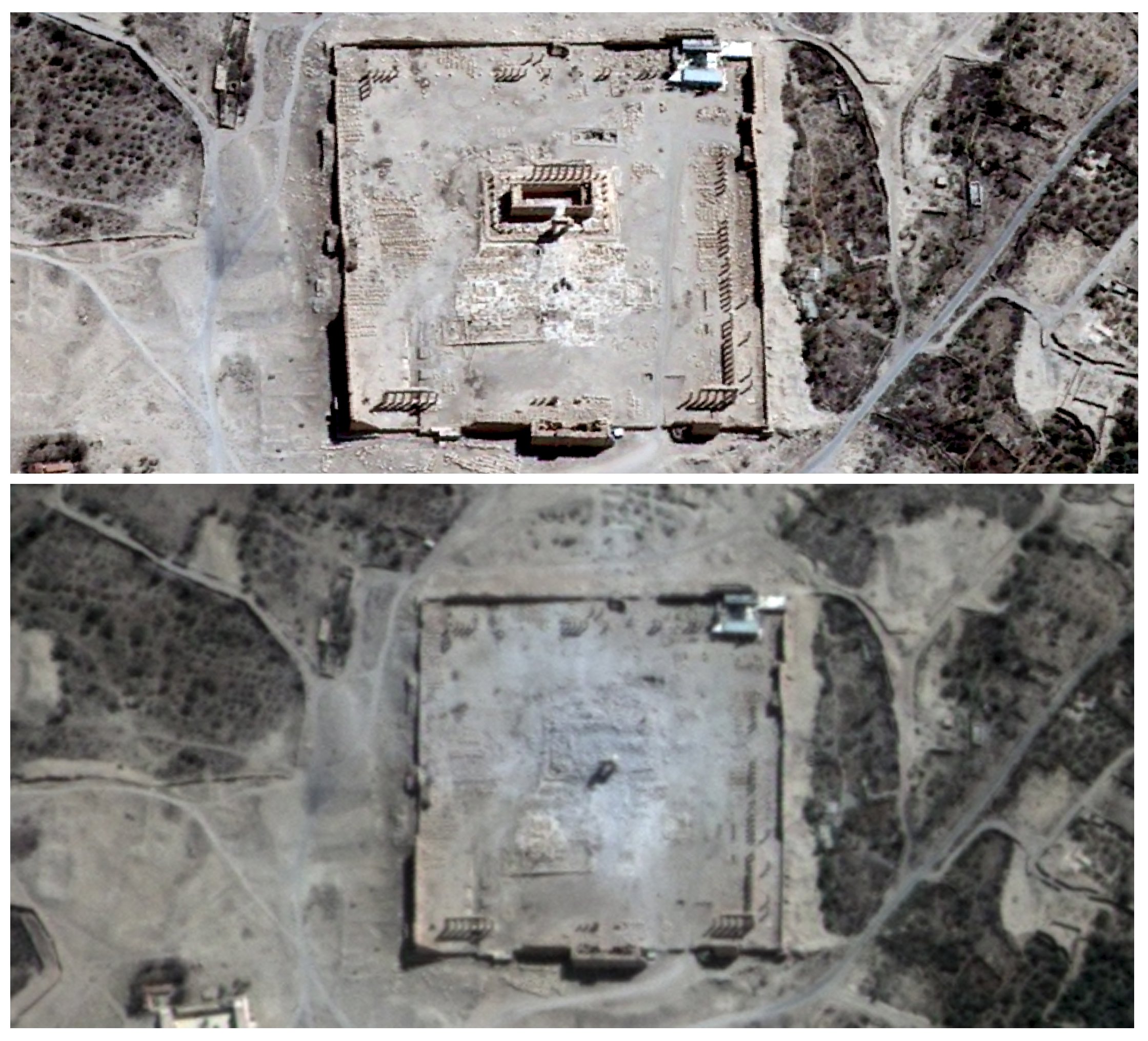 Σχεδόν πλήρης η καταστροφή του δεύτερου ναού στην Παλμύρα – εικόνες