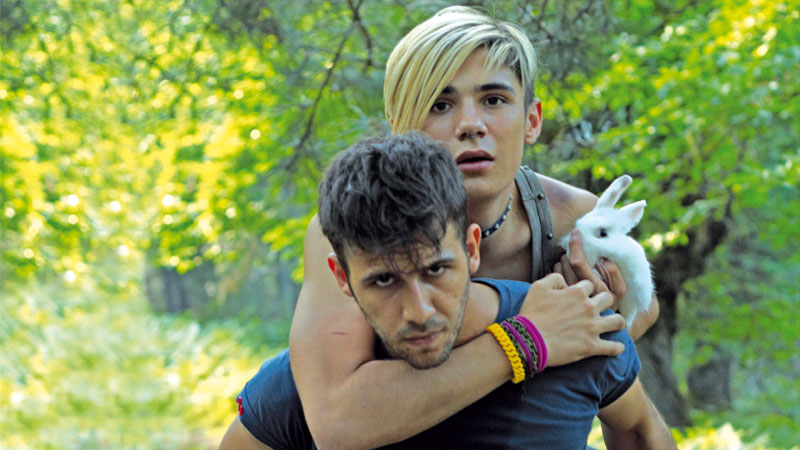 Στην κούρσα των Όσκαρ το «Xenia» του Πάνου Χ. Κούτρα