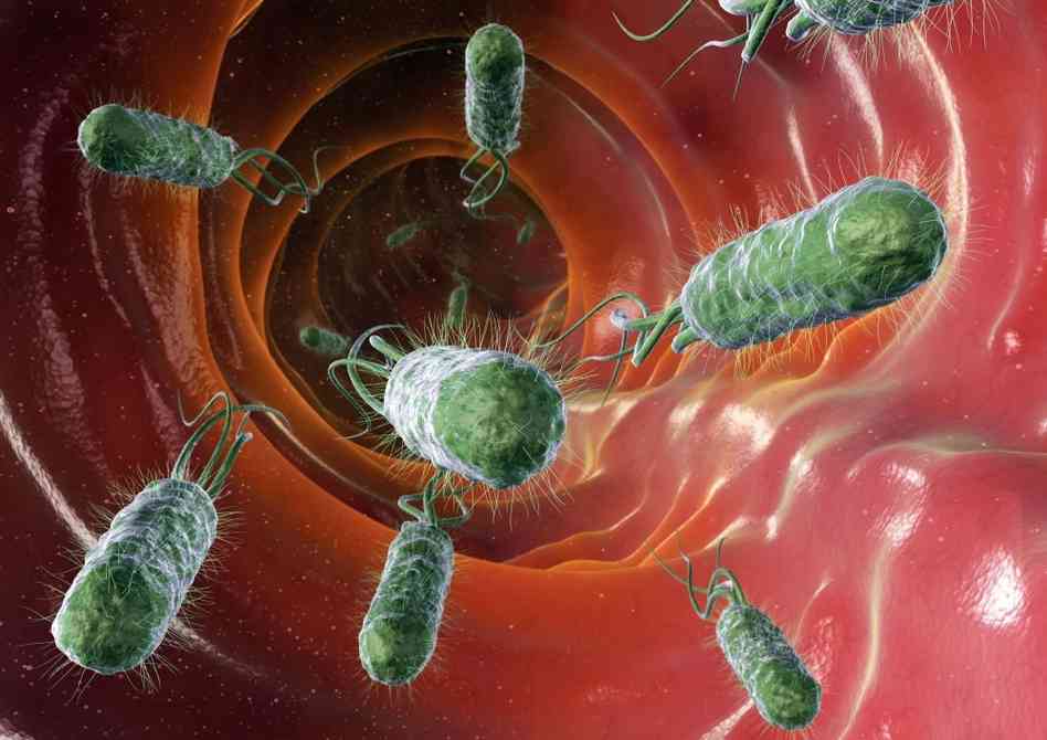 Γαστρεντερικά βακτήρια παίζουν ρόλο στην εκδήλωση άσθματος στα παιδιά