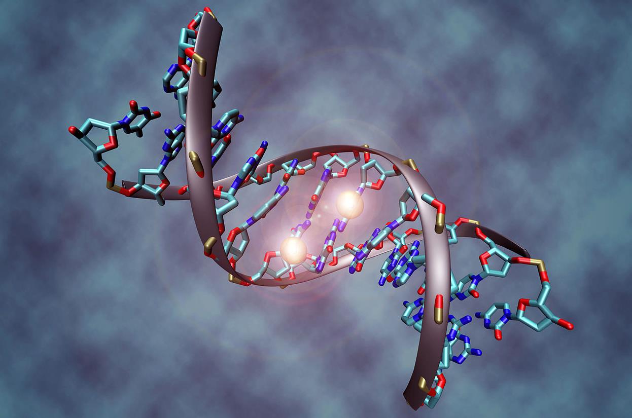 Νόμπελ Χημείας για τους μηχανισμούς επιδιόρθωσης του DNA