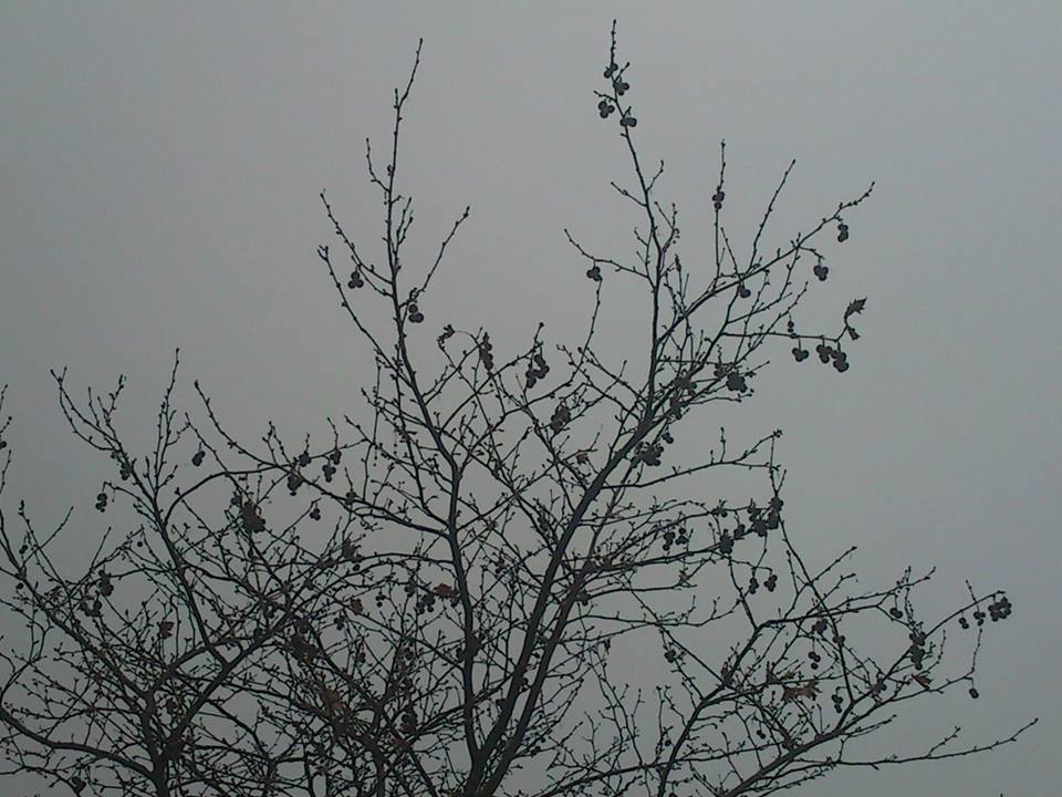 Στο «κόκκινο» η αιθαλομίχλη τις τελευταίες ημέρες στα Ιωάννινα