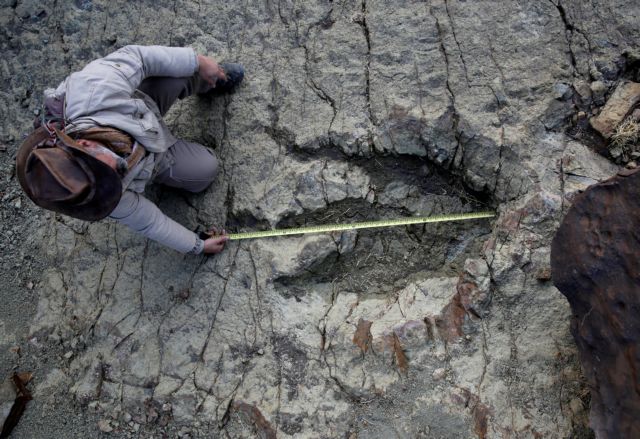 Στη Βολιβία, μια από τις μεγαλύτερες πατημασιές δεινόσαυρου