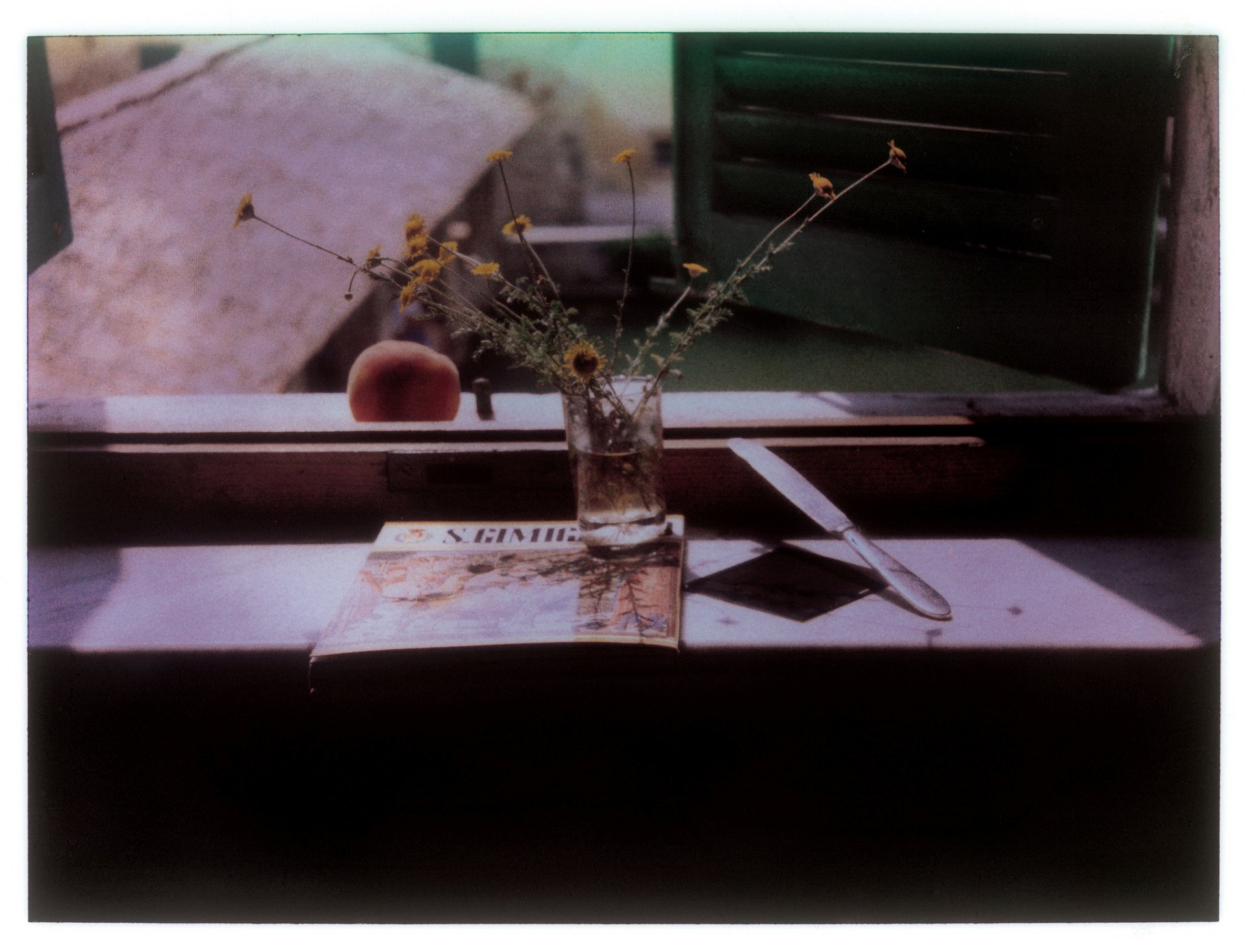 Οι ποιητικές Polaroid φωτογραφίες του Αντρέι Ταρκόφσκι