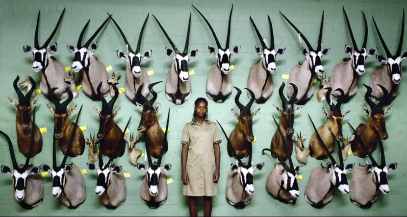 Αντίστροφη μέτρηση για το 19ο Φεστιβάλ Ντοκιμαντέρ Θεσσαλονίκης