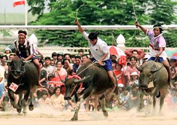 Φεστιβάλ για το τέλος της εποχής της σποράς του ρυζιού στην Ταϊλάνδη