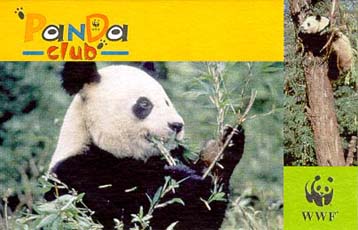 Πρόγραμμα του WWF για τα παιδιά