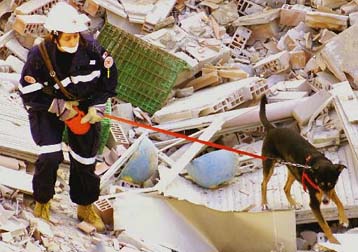 Aγνωστα ακόμη τα αίτια της κατάρρευσης στη Φότζια – έντεκα οι νεκροί